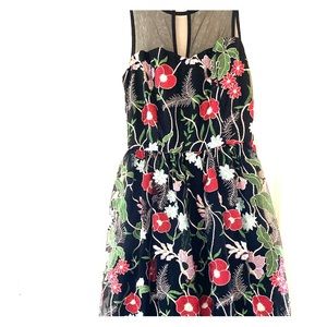 Tea length embroidered dress